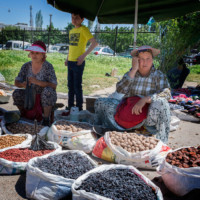 Photos de différents voyages