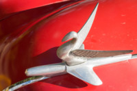 Détail d'Américaines