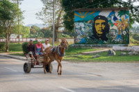 Face à une affiche du Che