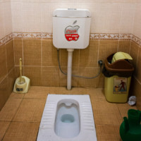 Carnets de voyages déjantés