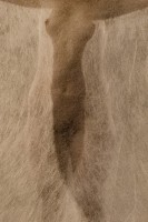 LUCIE VILLIERE Jacques 06