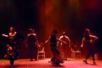 Repetition Compagnie Ojala 56