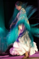 Spectacle Celine La Rosa Negra 003