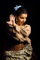 Spectacle Celine La Rosa Negra 040