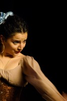 Spectacle Celine La Rosa Negra 043