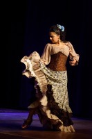 Spectacle Celine La Rosa Negra 047