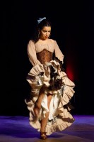 Spectacle Celine La Rosa Negra 049