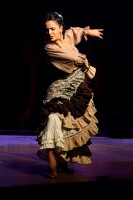 Spectacle Celine La Rosa Negra 053