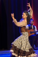 Spectacle Celine La Rosa Negra 057