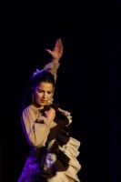 Spectacle Celine La Rosa Negra 059