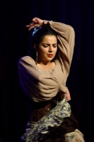 Spectacle Celine La Rosa Negra 061