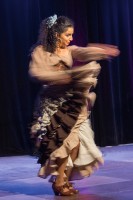 Spectacle Celine La Rosa Negra 068