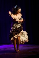 Spectacle Celine La Rosa Negra 072