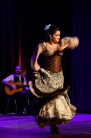 Spectacle Celine La Rosa Negra 074