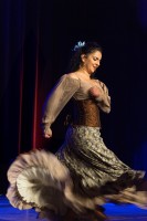 Spectacle Celine La Rosa Negra 080