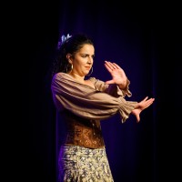 Spectacle Celine La Rosa Negra 084