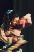 Spectacle Celine La Rosa Negra 094