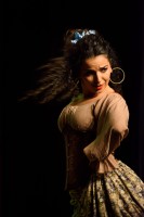 Spectacle Celine La Rosa Negra 101