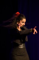 Spectacle Celine La Rosa Negra 113