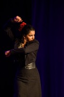 Spectacle Celine La Rosa Negra 116