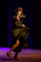 Spectacle Celine La Rosa Negra 120