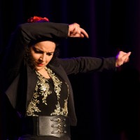 Spectacle Celine La Rosa Negra 125