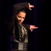 Spectacle Celine La Rosa Negra 126