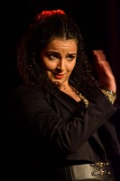 Spectacle Celine La Rosa Negra 128