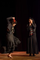 Spectacle Celine La Rosa Negra 132