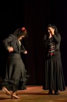 Spectacle Celine La Rosa Negra 133