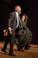 Spectacle Celine La Rosa Negra 141