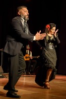 Spectacle Celine La Rosa Negra 142