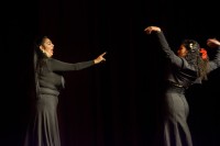 Spectacle Celine La Rosa Negra 143