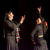 Spectacle Celine La Rosa Negra 146