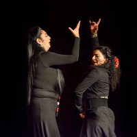 Spectacle Celine La Rosa Negra 148