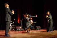 Spectacle Celine La Rosa Negra 149