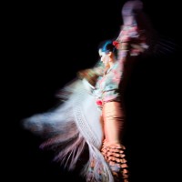 flamenco 03