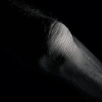 humain fragmente 1 07