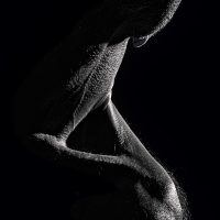 humain fragmente 1 08