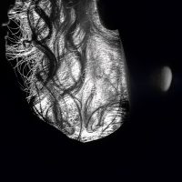 humain fragmente 1 10