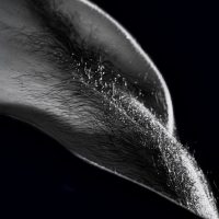 humain fragmente 1 12