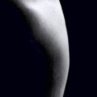 humain fragmente 1 15