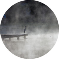 selection 05 _0049597bisattenrond