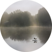 selection 08 _0050010terbisbisattenrond_