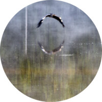 selection 14 _0049540bisbisattenon